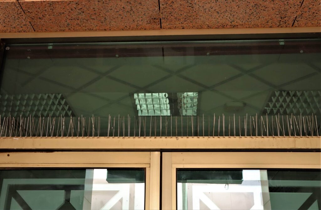 Bird spikes installed on a narrow ledge above a doorway